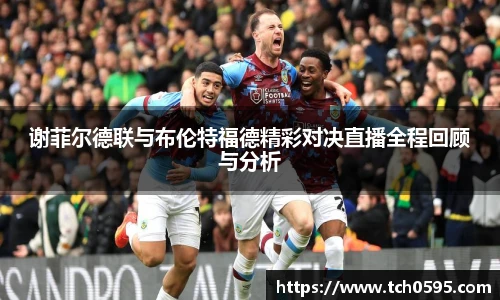 谢菲尔德联与布伦特福德精彩对决直播全程回顾与分析